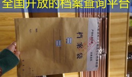 全国开放的档案查询平台