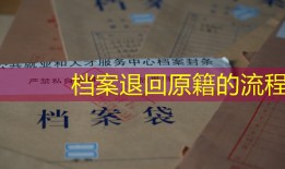 档案退回原籍的流程