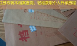江苏专转本档案查询，轻松获取个人升学历程
