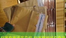 档案专审进度查询_档案审核状态查询