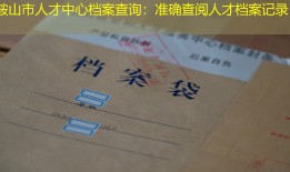鞍山市人才中心档案查询：准确查阅人才档案记录