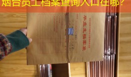 烟台员工档案查询入口在哪？