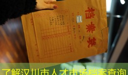 了解汉川市人才市场档案查询