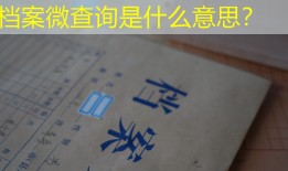 档案微查询是什么意思？