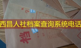 西昌人社档案查询系统电话