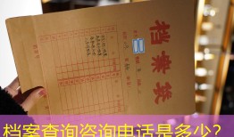 档案查询咨询电话是多少？