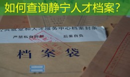 如何查询静宁人才档案？