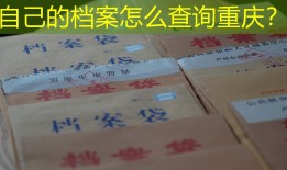 自己的档案怎么查询重庆？