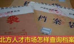 北方人才市场怎样查询档案