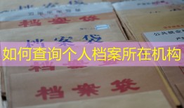 如何查询个人档案所在机构