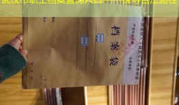 武汉市职工档案查询入口——探寻合法路径