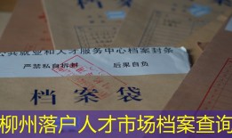 柳州落户人才市场档案查询