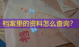 档案里的资料怎么查询？
