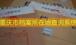 重庆市档案所在地查询系统