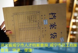 湖北省咸宁市人才档案查询_咸宁市员工档案查询，快速、便捷！