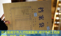 湖北省咸宁市人才档案查询_咸宁市员工档案查询，快速、便捷！