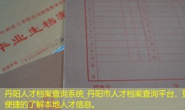 丹阳人才档案查询系统_丹阳市人才档案查询平台，更便捷的了解本地人才信息。