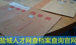 盐城人才网查档案查询官网