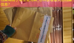 档案调回了哪里查询啊_怎样获取丢失的档案信息？