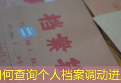 如何查询个人档案调动进度
