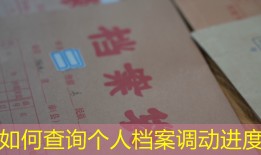 如何查询个人档案调动进度
