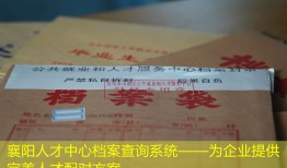 襄阳人才中心档案查询系统——为企业提供完美人才配对方案