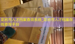 龙岩市人才档案查询系统_龙岩市人才档案在线查询平台