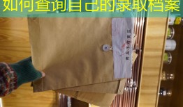 如何查询自己的录取档案