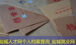 盐城人才网个人档案查询_盐城就业网