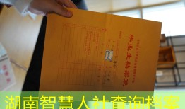 湖南智慧人社查询档案