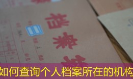 如何查询个人档案所在的机构