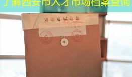 了解西安市人才市场档案查询