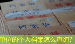单位的个人档案怎么查询？