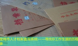 宝鸡市人才档案查询系统——寻找你工作生涯的历程记录