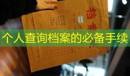 个人查询档案的必备手续