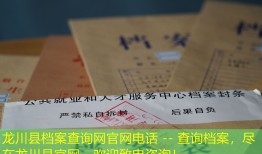龙川县档案查询网官网电话 -- 查询档案，尽在龙川县官网，欢迎致电咨询！