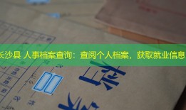 长沙县 人事档案查询：查阅个人档案，获取就业信息