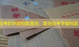 自考的学籍档案查询：查询自考学籍档案