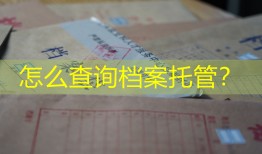 怎么查询档案托管？