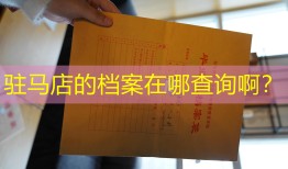 驻马店的档案在哪查询啊？