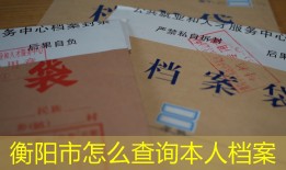衡阳市怎么查询本人档案