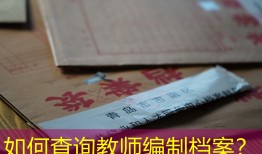 如何查询教师编制档案？