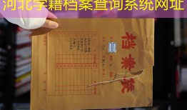 河北学籍档案查询系统网址