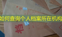 如何查询个人档案所在机构