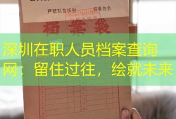 深圳在职人员档案查询网：留住过往，绘就未来