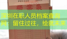 深圳在职人员档案查询网：留住过往，绘就未来