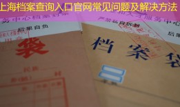 上海档案查询入口官网常见问题及解决方法
