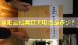酉阳县档案查询电话是多少？