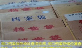 湖口档案保存地址查询系统_湖口档案存储位置查询服务：快速获取湖口区档案保管室储存地址。