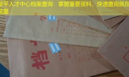 黎平人才中心档案查询：掌握重要资料，快速查询就在这里